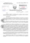 Vista preliminar de documento Resolucion Directoral Hospital Nacional Daniel Alcides Carrion