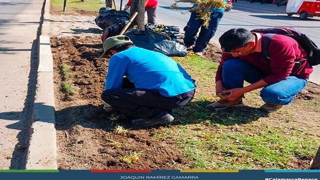 ✅ Esta mañana, el equipo de Parques y Jardines de la #MPC reforestó la Vía de Evitamiento Norte, plantando molle serrano, fresno y césped. 
Esta acción busca mejorar los espacios verdes, embellecer la ciudad y cuidar el medio ambiente.