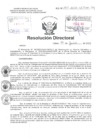 Vista preliminar de documento Resolucion Directoral Hospital Nacional Daniel Alcides Carrion