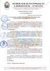 Vista preliminar de documento RESOLUCION DE ALCALDIA Nº 381
