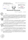 Vista preliminar de documento Resolucion Directoral Hospital Nacional Daniel Alcides Carrion