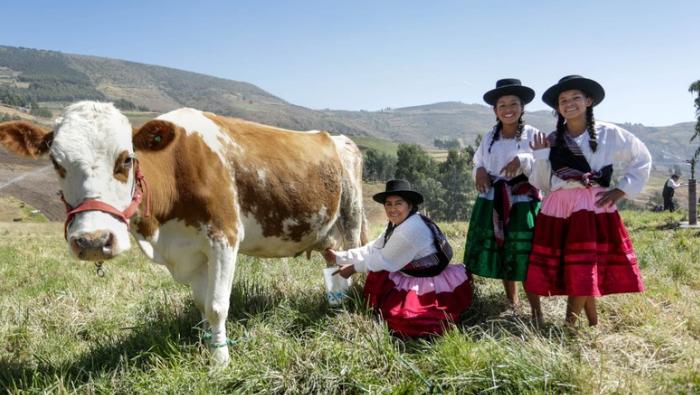 Gobierno impulsa el sector pecuario para fortalecer la calidad alimentaria en el país