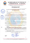 Vista preliminar de documento RESOLUCION DE ALCALDIA Nº 377