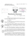 Vista preliminar de documento Resolucion Directoral Hospital Nacional Daniel Alcides Carrion 