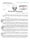 Vista preliminar de documento Resolucion Directoral Hospital Nacional Daniel Alcides Carrion-