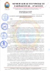 Vista preliminar de documento RESOLUCION DE ALCALDIA Nº 201