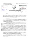 Vista preliminar de documento Resolucion Directoral  Hospital Nacional Daniel Alcides Carrion