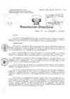 Vista preliminar de documento Resolucion Directoral Hospital Nacional Daniel Alcides Carrion