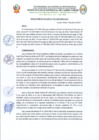 Vista preliminar de documento RA-N242-2024-MDCV-ALC