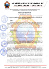 Vista preliminar de documento RESOLUCION DE ALCALDIA Nº 363