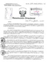 Vista preliminar de documento Resolucion Directoral Hospital Nacional Daniel Alcides Carrion