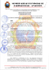 Vista preliminar de documento RESOLUCION DE ALCALDIA Nº 358