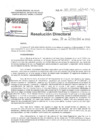 Vista preliminar de documento Resolucion Directoral Hospital Nacional Daniel Alcides Carrion