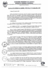 Vista preliminar de documento RGGR0310-2024