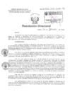 Vista preliminar de documento Resolucion Directoral Hospital Nacional Daniel Alcides Carrion