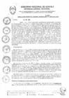 Vista preliminar de documento RGGR0357-2024-GGR