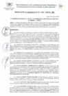 Vista preliminar de documento RGDSE_031_2024_MDI