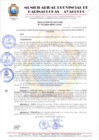 Vista preliminar de documento RESOLUCION DE ALCALDIA Nº 193
