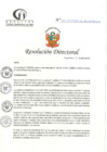 Vista preliminar de documento RD N°241-07-2024-DE-HCLLH-MINSA