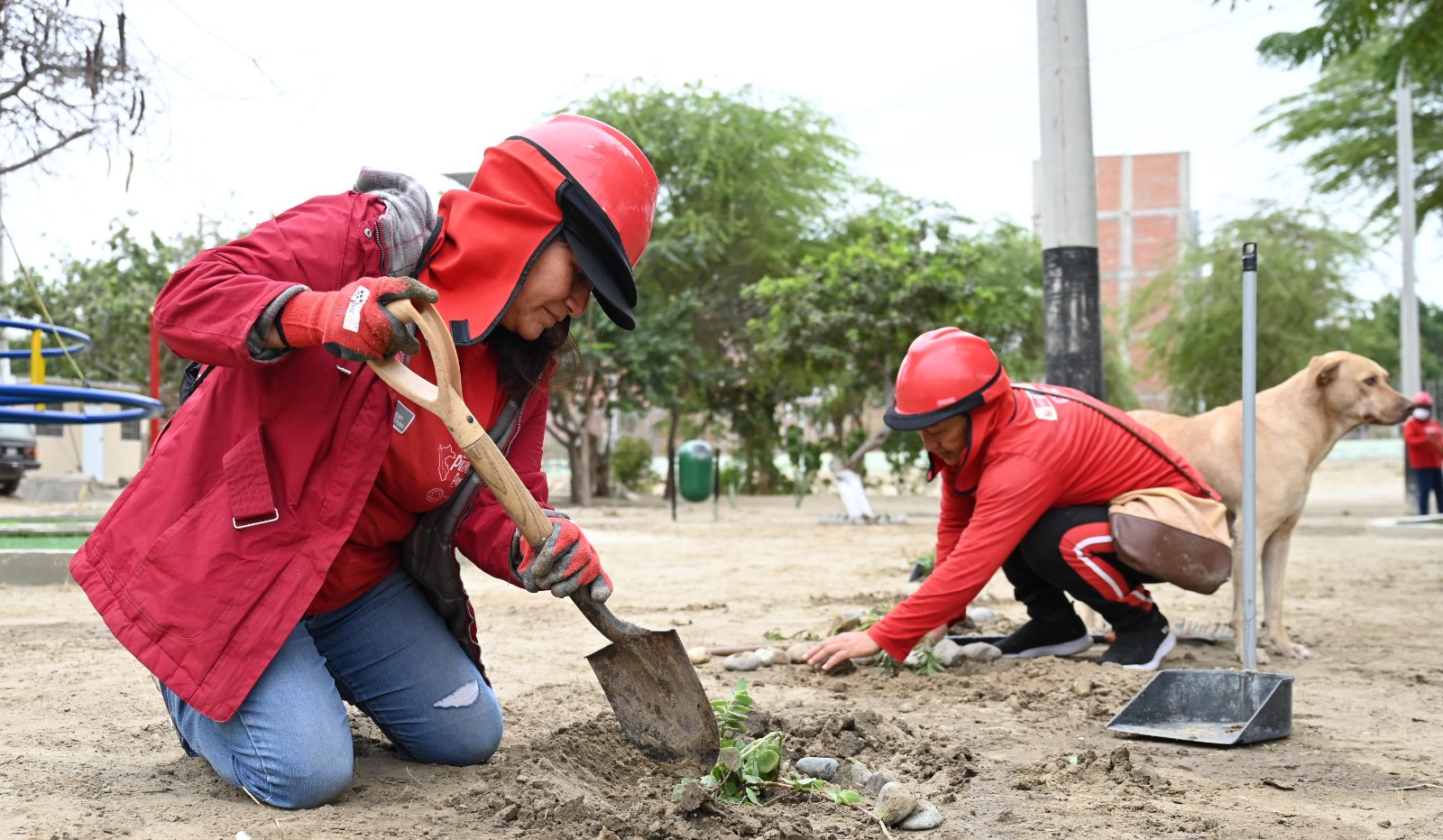 Programa de trabajo