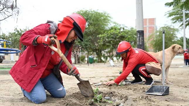 Programa de trabajo 