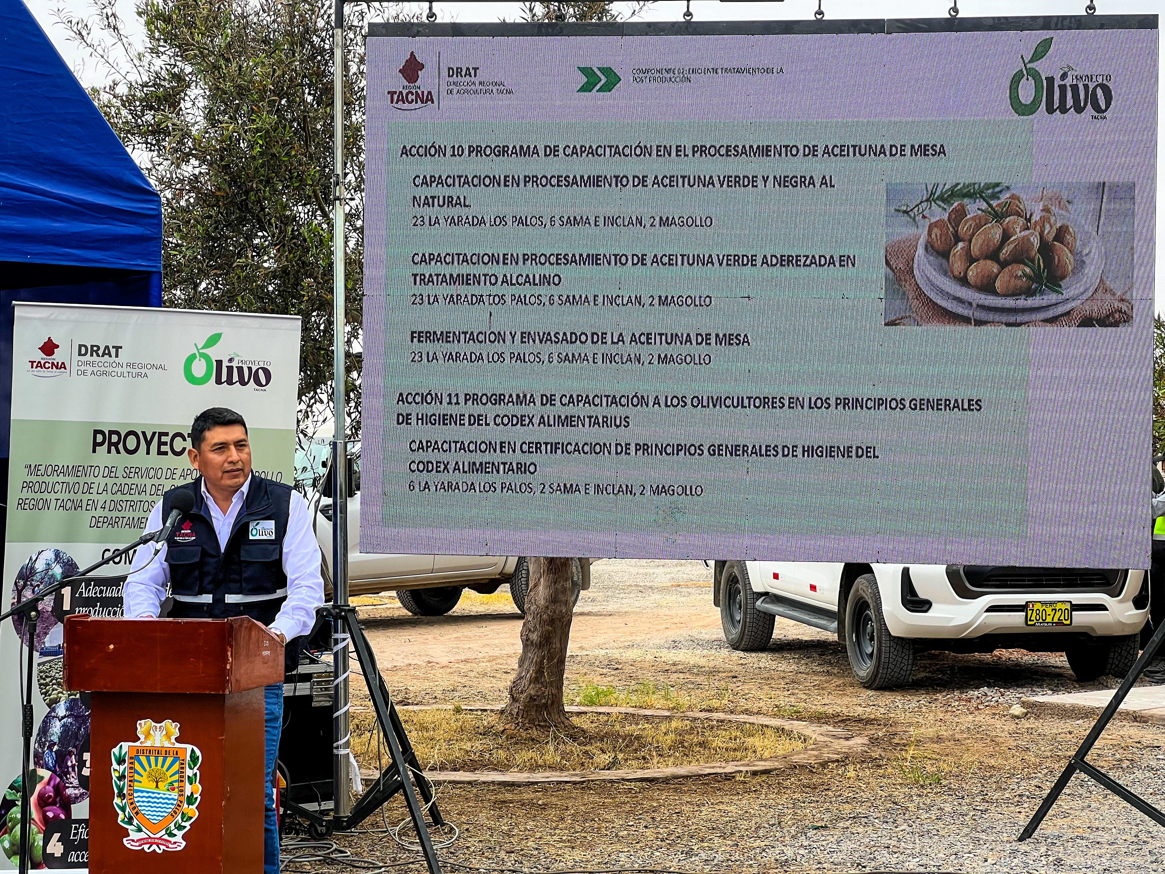 Más de 2600 agricultores se beneficiarán con Proyecto Olivo
