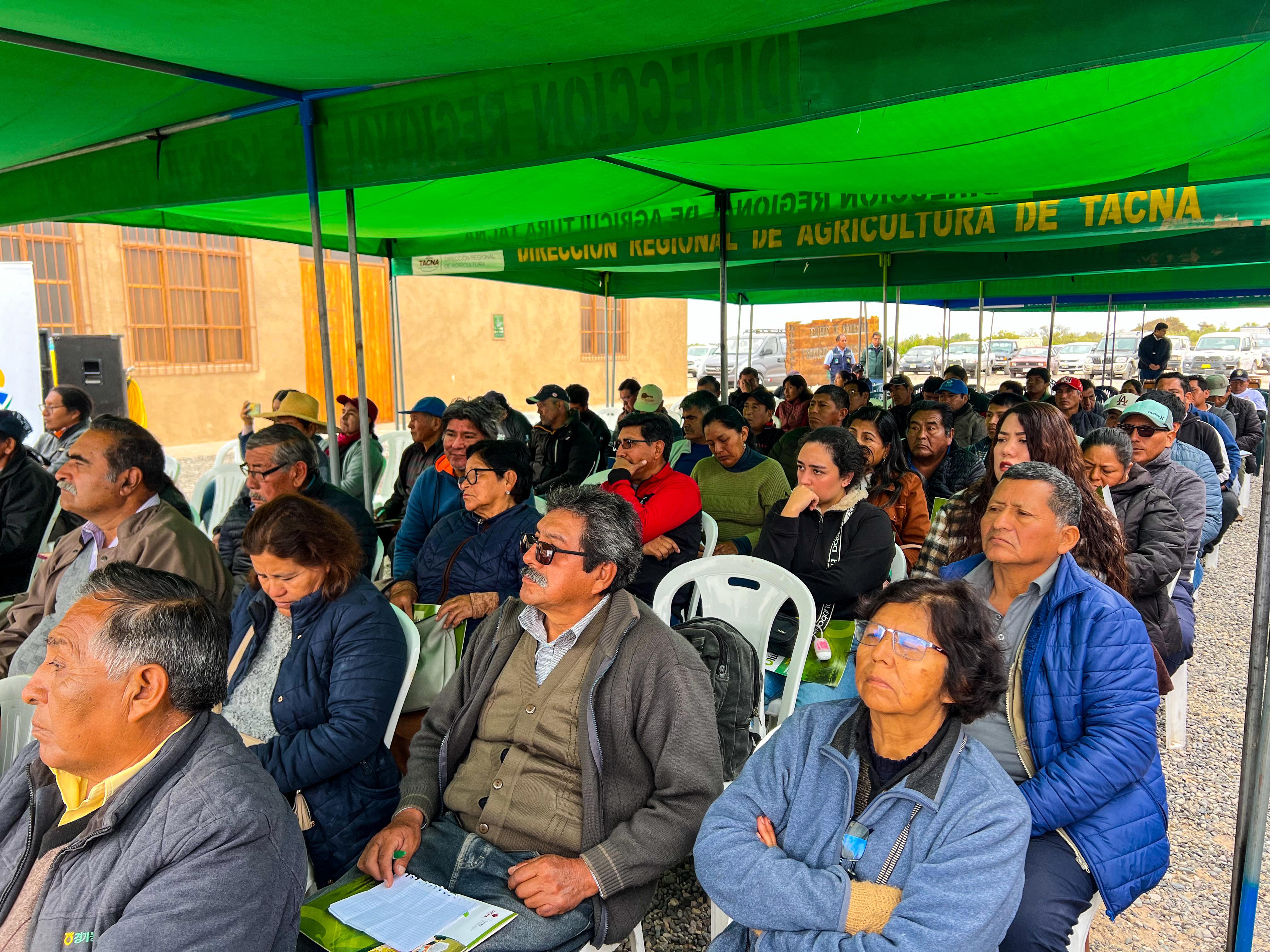 Más de 2600 agricultores se beneficiarán con Proyecto Olivo