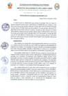 Vista preliminar de documento RA-N234-2024-MDCV-ALC