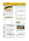 Vista preliminar de documento Boletín de abastecimiento y precio del ARROZ - 08/08/2024