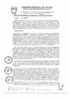Vista preliminar de documento RGR0328-2024-GRI