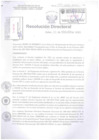 Vista preliminar de documento Resolucion Directoral Hospital Nacional Daniel Alcides Carrion