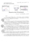Vista preliminar de documento Resolucion Directoral Hospital Nacional Daniel Alcides Carrion