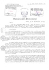 Vista preliminar de documento Resolucion Directoral Hospital Nacional Daniel Alcides Carrion