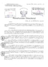 Vista preliminar de documento Resolucion Directoral Hospital Nacional Daniel Alcides Carrion
