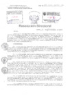 Vista preliminar de documento Resolucion Directoral Hospital Nacional Daniel Alcides Carrion