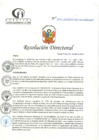 Vista preliminar de documento RD N°245-07-2024-DE-HCLLH-MINSA