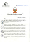 Vista preliminar de documento RD N°248-07-2024-DE-HCLLH-MINSA
