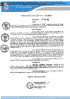 Vista preliminar de documento RA N 243_2024 QR