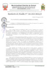 Vista preliminar de documento Resolución N°-166