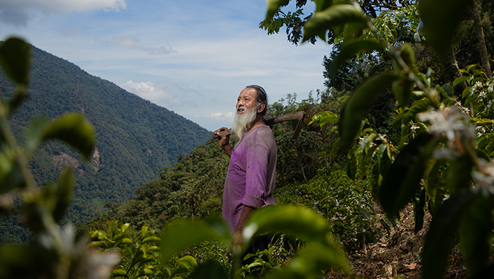 Abel Vilcas: Cafetalero posiciona al Vraem en el mapa del café de excelencia