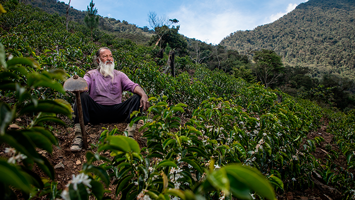 Abel Vilcas: Cafetalero posiciona al Vraem en el mapa del café de excelencia