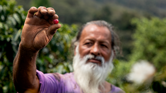 Abel Vilcas: Cafetalero posiciona al Vraem en el mapa del café de excelencia