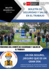 Vista preliminar de documento Boletín 011 - Funciones del Comité de Seguridad y Salud en el Trabajo