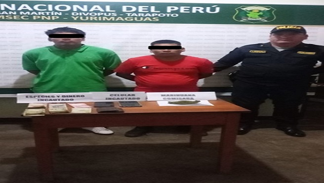 Imagen2