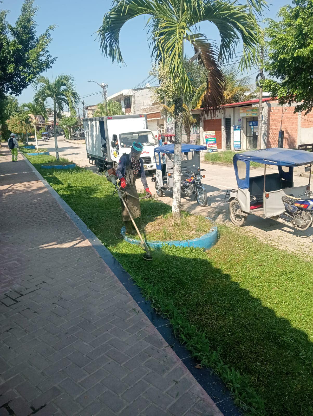 Exhaustiva de limpieza en la Plaza Cardama. 