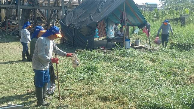 Realizando el desbroce de maleza y limpieza en la zona donde las familias damnificadas por la erosión de tierra serán reubicadas