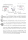 Vista preliminar de documento Resolucion Directoral Hospital Nacional Daniel Alcides Carrion