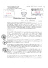 Vista preliminar de documento Resolucion directoral  Hospital Nacional Daniel Alcides Carrion