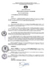 Vista preliminar de documento RA Nº 185 - Desig. Jefe de la OGCII