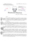 Vista preliminar de documento Resolucion directoral Hospital Nacional Daniel Alcides Carrion